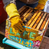 A person holding a colorful honey comb